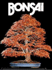 Bonsai-Club Deutschland