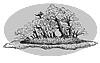 Bonsai Regionalverband Bayern